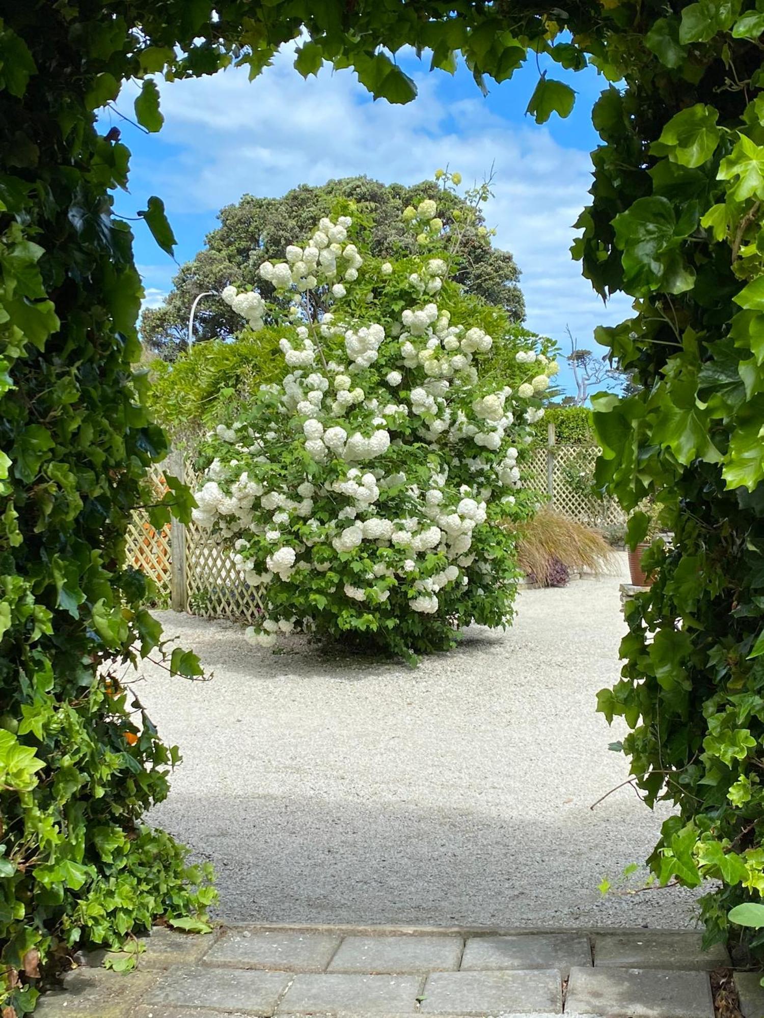 Glascroft Gardens - Bed & Breakfast Patea المظهر الخارجي الصورة
